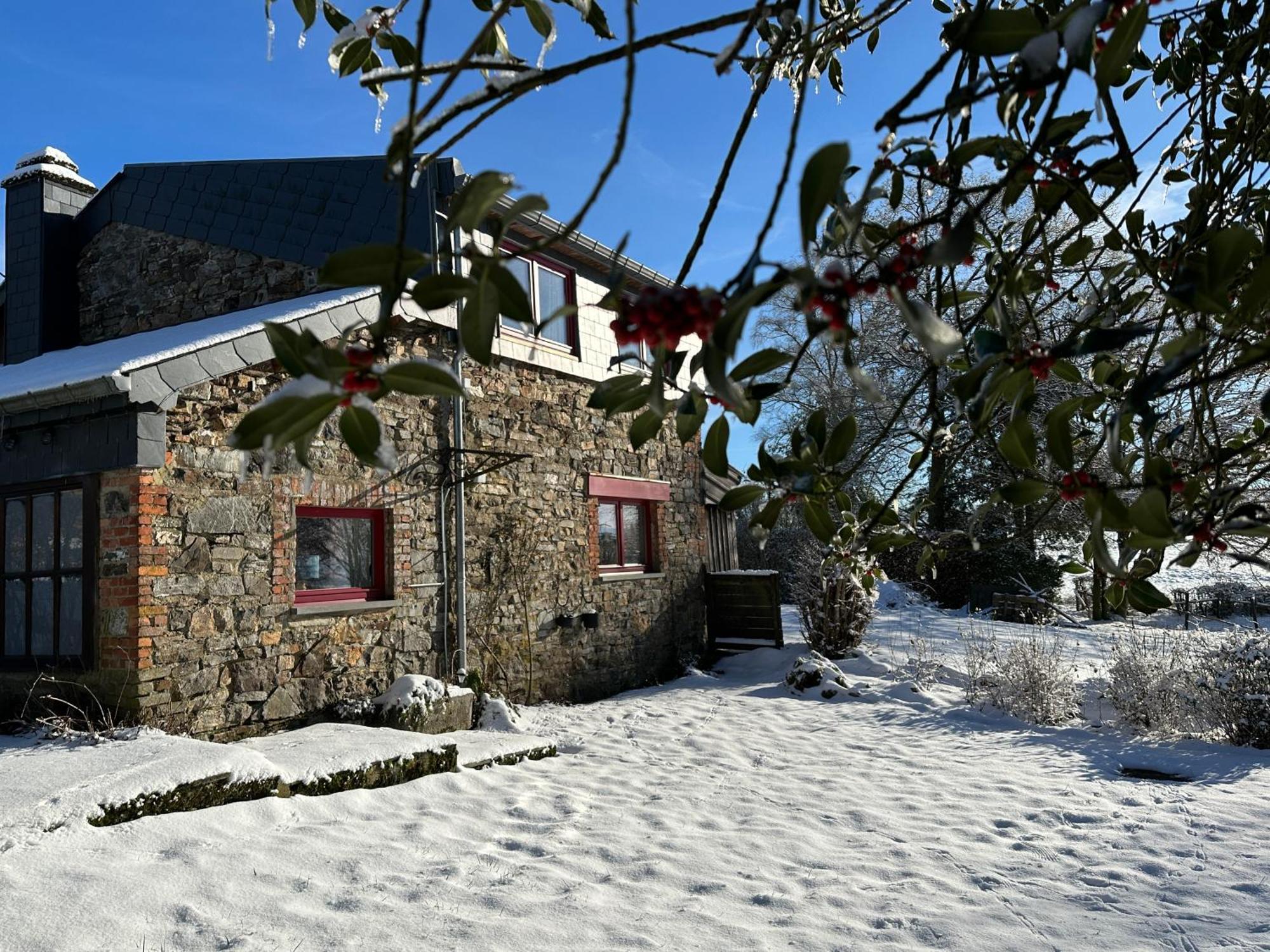 Little Roua Ardenne Cottage 4 Pers 斯图蒙 外观 照片